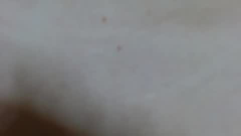 Snapshot of ariana_28 chatting on February 2025 04:15:02 AM Ariana lvarez online show from February 2025 04:15:02 AM