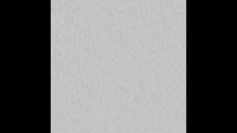 Arianna Collins online show from October 2025 11:42:01 AM