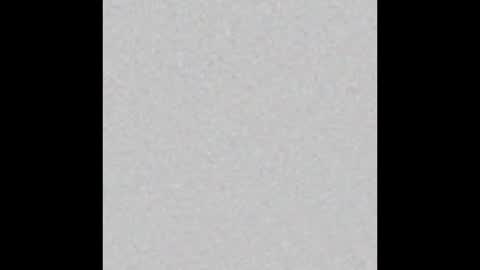 Arianna Collins online show from November 2025 11:34:01 AM