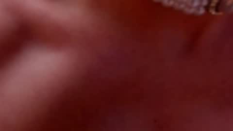 Anastasia online show from February 2025 09:47:01 AM