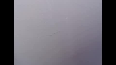 ariannaloovel online show from April 2026 05:55:01 PM