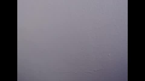 ariannaloovel online show from April 2026 10:04:02 PM