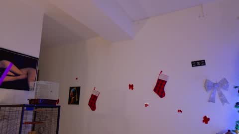 Aria online show from December 2025 12:40:01 AM