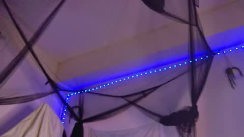 Aria online show from February 2026 09:31:02 PM