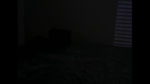 Arkk Angel online show from January 2025 10:51:02 AM