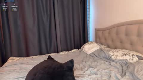 Snapshot of arlenhere chatting on October 2025 02:17:02 PM Mia Arlen online show from October 2025 02:17:02 PM