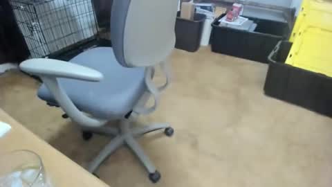 armalite16 online show from January 2026 03:32:01 AM