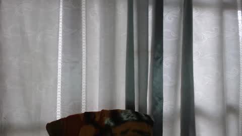 ARMANDO online show from December 2025 05:07:02 PM