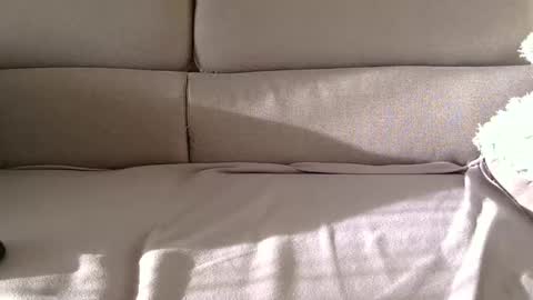 arpinopeer3055 online show from November 2025 08:14:01 AM