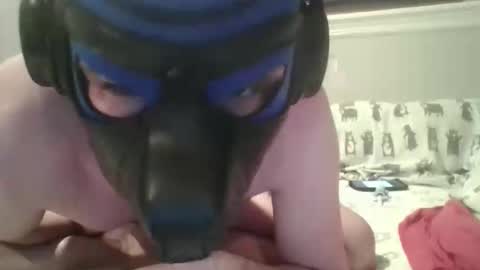 arrowpup online show from June 2026 09:09:01 PM