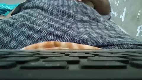 art_max99xxx online show from January 2025 11:13:02 PM