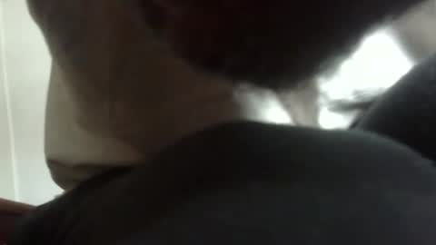 Snapshot of arteblazze chatting on February 2026 05:06:02 PM Arteblazze not daddy boy bitch or nigga online show from February 2026 05:06:02 PM