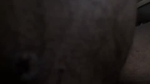 Snapshot of arteblazze chatting on February 2026 02:37:02 PM Arteblazze not daddy boy bitch or nigga online show from February 2026 02:37:02 PM