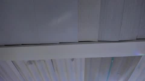 FENIX online show from November 2025 02:45:02 AM