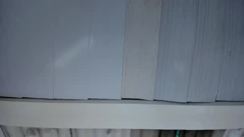 FENIX online show from November 2025 03:06:01 AM