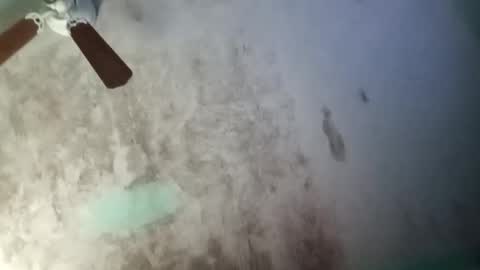 the chosen one online show from November 2025 03:23:01 PM