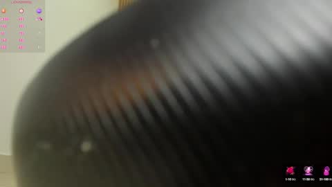 Snapshot of arya_ruiz chatting on December 2024 03:24:02 PM Arya online show from December 2024 03:24:02 PM