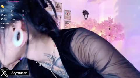 Snapshot of aryrouse chatting on March 2025 10:49:02 PM Aryana online show from March 2025 10:49:02 PM