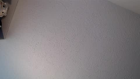 Snapshot of asecretyoumustkeep chatting on March 2026 12:33:01 PM a secret you must keep online show from March 2026 12:33:01 PM