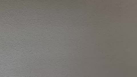 ash123400000 online show from February 2026 10:27:02 PM