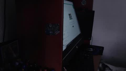 Snapshot of ash_v1 chatting on February 2025 06:44:01 PM Ash online show from February 2025 06:44:01 PM