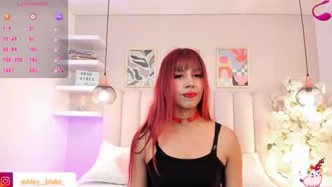 Ashley online show from November 2025 03:31:02 AM