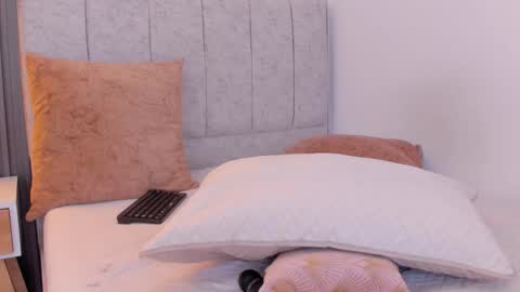 Snapshot of ashley_ruiz_ chatting on January 2025 12:19:02 AM Camila online show from January 2025 12:19:02 AM