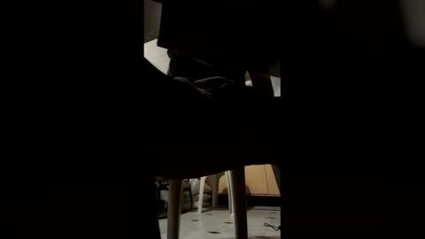 ashutoshkhanna online show from February 2026 07:32:01 PM