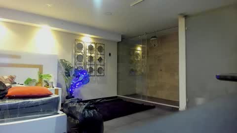 PAO   online show from December 2025 08:56:02 AM