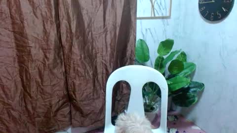 Snapshot of asianhotbigcock chatting on February 2025 11:01:02 AM Nico online show from February 2025 11:01:02 AM