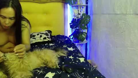 asianladyboy888 online show from March 2026 04:57:01 PM