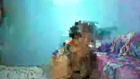 ann online show from April 2026 04:26:01 PM