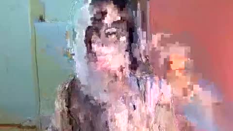 Tabby online show from February 2026 03:29:01 PM