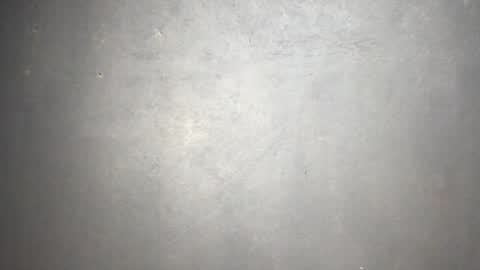 Mark online show from March 2026 02:28:01 PM