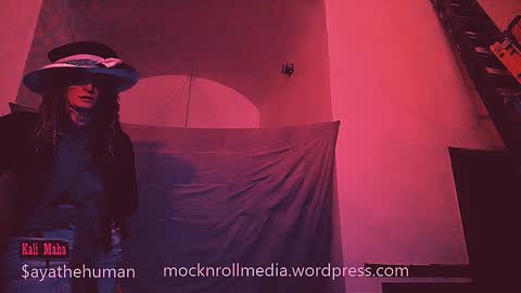 aspiringturtlegirl online show from February 2026 07:59:01 AM