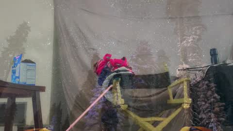 aspiringturtlegirl online show from March 2026 03:40:01 PM