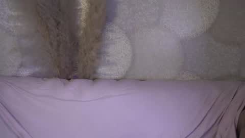 Snapshot of astra_lis chatting on December 2024 06:28:01 PM Astra online show from December 2024 06:28:01 PM