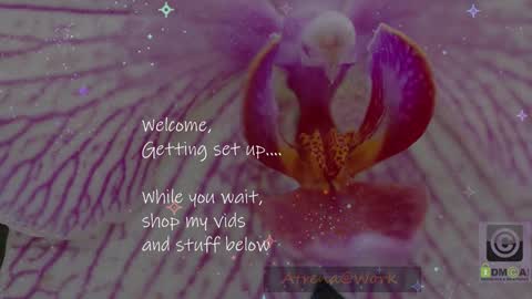 Atrena online show from January 2026 01:00:02 AM