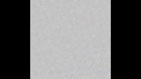 Auris online show from January 2026 11:36:01 AM