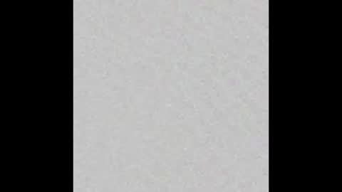 Auris online show from February 2026 11:37:02 AM