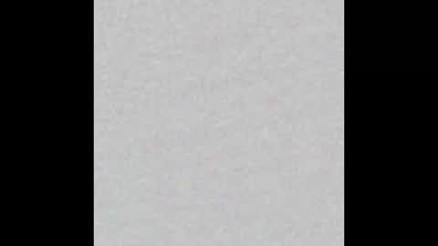 Auris online show from February 2026 11:48:01 AM