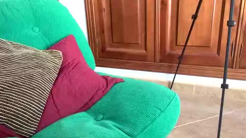 Snapshot of aurerex chatting on November 2025 11:54:01 AM aurerex online show from November 2025 11:54:01 AM