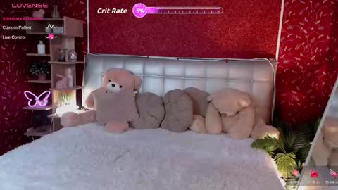 Aurora online show from May 2026 12:02:01 PM