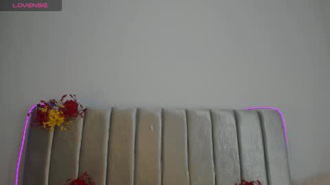 A U R O R A online show from November 2025 04:26:02 AM