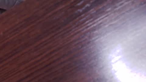 Aurora Diaz online show from February 2025 07:04:02 AM