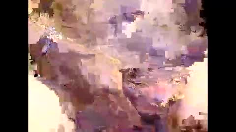 aushsi25 online show from December 2025 01:49:02 PM