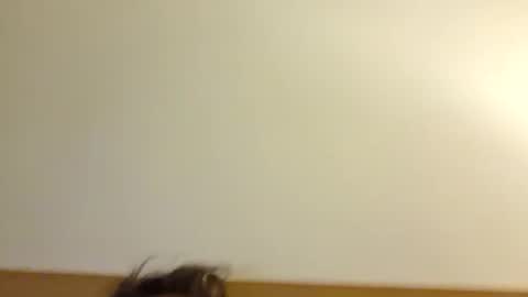 aussie_dadbod6969 online show from May 2026 01:44:01 AM