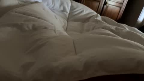 aussieguy1584 online show from February 2026 10:55:01 PM