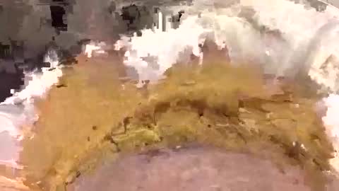 aussieguy1584 online show from March 2026 10:40:01 AM