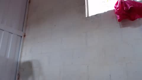 Snapshot of ava_f0xy chatting on November 2025 04:06:01 PM Ava Jordana online show from November 2025 04:06:01 PM